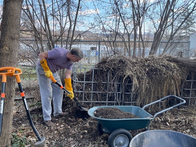 At a Garden Together session, a man shovels soil into a wheelbarrow.